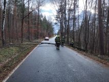 Obrazem: Silný vítr, námraza, sníh. Pátek v terénu byl pro hasiče náročný, padaly stromy, bouralo se i hořelo