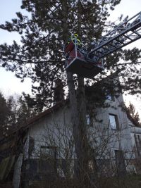 Čelní srážka dvou aut, střet se zvěří, se sloupem, únik plynu i požár pole od dělobuchů. Pětadvacet událostí v kraji za jeden den