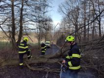 Čelní srážka dvou aut, střet se zvěří, se sloupem, únik plynu i požár pole od dělobuchů. Pětadvacet událostí v kraji za jeden den