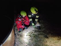 Srnec uvízl v síti, v brance na fotbalovém hřišti. Hasiči také zachraňovali srnku, co spadla do bazénu