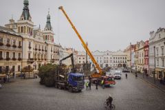 Na Perštýnské náměstí byl dopraven vánoční strom, přivezli ho z Dašic. Projet úzkou ulicí do centra bylo trochu náročné