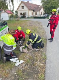 Čtveřice mladých labutí uvízla v bahně vypuštěného rybníka