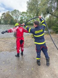 Čtveřice mladých labutí uvízla v bahně vypuštěného rybníka