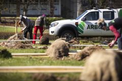 Obrazem: U Paláce Pardubice se začalo s výsadbou zeleně