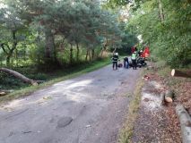 Zranění motorkáře kvůli stromu, kráva s barelem na hlavě v řece, auto nedobrzdilo za druhým a střet čtyř vozů