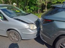 Zranění motorkáře kvůli stromu, kráva s barelem na hlavě v řece, auto nedobrzdilo za druhým a střet čtyř vozů
