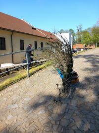 Odsouzení chodí pracovat také na Zámek Pardubice