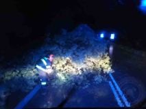 OBRAZEM: Na cyklistu v noci spadl u Labe strom. Hasiči odstraňovali následky silné bouřky na Pardubicku