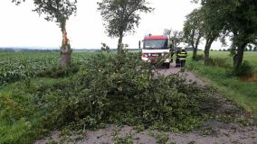 OBRAZEM: Na cyklistu v noci spadl u Labe strom. Hasiči odstraňovali následky silné bouřky na Pardubicku