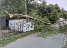 Vítr lámal větve a porážel stromy v některých částech Pardubického kraje