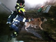 Hasiči zachránili psa z hořící chaty v Chrudimi