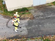 Hasiči natočili zásah v Albrechticích kvůli ptačí chřipce