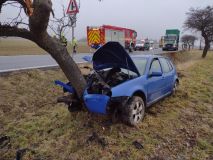 Auto vyletělo ze silnice a čelně narazilo do kmenu stromu