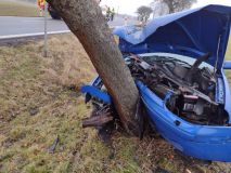 Auto vyletělo ze silnice a čelně narazilo do kmenu stromu