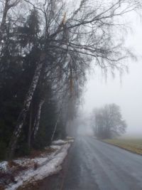 Zlomená větev stromu nad silnicí u Poličky ohrožovala projíždějící auta