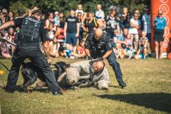 Obrazem: Stovky lidí si užily Den s Městskou policií ve Sportovním parku Pardubice