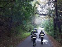 Foto: Silný vítr kácel stromy, způsobil tak železniční nehodu u Hradce nad Svitavou