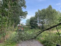Foto: Silný vítr kácel stromy, způsobil tak železniční nehodu u Hradce nad Svitavou