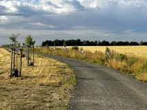 Ve Svitavách mají novou ovocnou alej čítající až osm desítek stromů, nyní snadno poznáte o jaký strom či druh jde