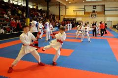 V Ústí nad Orlicí se konal  20. ročník mezinárodních závodů v karate