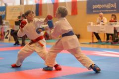 V Ústí nad Orlicí se konal  20. ročník mezinárodních závodů v karate