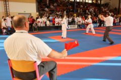 V Ústí nad Orlicí se konal  20. ročník mezinárodních závodů v karate