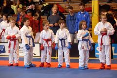 V Ústí nad Orlicí se konal  20. ročník mezinárodních závodů v karate