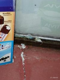 Prodejnu potravin na Trnovské uzavřela inspekce. Myši si tu pochutnávali na oplatkách v regálech