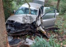 Osobní autu narazilo u Skutče do stromu, jedena osoba utrpěla zranění