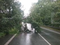 Obrazem: Deštěm nasycené stromy padají k zemi. V Dřevnicích poškodil jeden zaparkované vozy