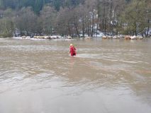 Od půlnoci již přes sto výjezdů hasičů kvůli velké vodě. Hasiči zachraňovali i dobytek