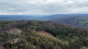 TIP NA PRODLOUŽENÝ VÍKEND: Hřebenovka Českým Švýcarskem se otevírá veřejnosti. Ukáže to nejhezčí z regionu od Tisé do Jedlové