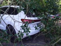 Těžká větev stromu poškodila několik aut parkujících u golfového hřiště