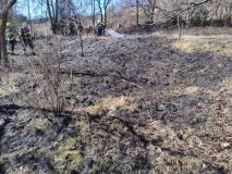 Vypalovali porost na zahradě a oheň se rychle rozšířil a nebezpečně blížil k domu. Pokuta je neminula