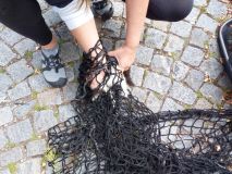 Kočka vlezla do motoru, strom ohrožoval dopravu, chytla skládka odpadu