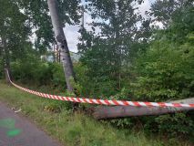 Kočka vlezla do motoru, strom ohrožoval dopravu, chytla skládka odpadu