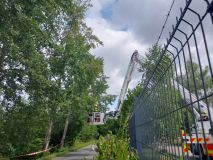 Kočka vlezla do motoru, strom ohrožoval dopravu, chytla skládka odpadu