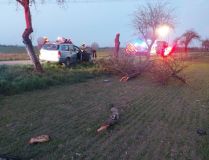 Řidička s vozem narazila do stromu. Z auta ji museli zraněnou vyprošťovat