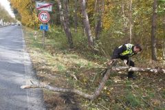 Foukalo i v krajském městě, městem látaly desky padaly stromy a seniorce se kvůli zdraví  a silnému větru obtížně dýchalo