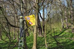 Pozor na Nemošické stráni, žijí tu chráněné užovky podplamaté a zrovna mají lásky čas