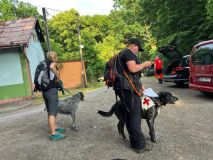 Do hledání ztraceného seniora se zapojili dobrovolníci i se psy, muž byl v úterý nalezen