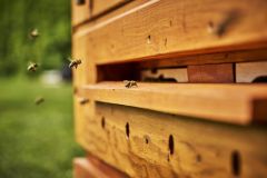 Ten nejtěsnější a přitom bezpečný a blahodárný kontakt s včelami.  V Nasavrkách mají nový apidomek