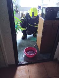Fritovací hrnec na plotně, zapnutý špatný knoflík a oheň v bytě. Prohořelé vodovodní potrubí vyplavilo dva spodní byty