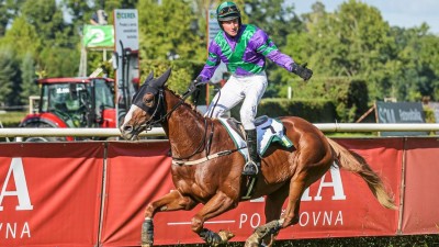 V sobotu se v Pardubicích poběží první kvalifikační závod na Velkou pardubickou. Sejdou se zde hned dva vítězové tohoto závodu