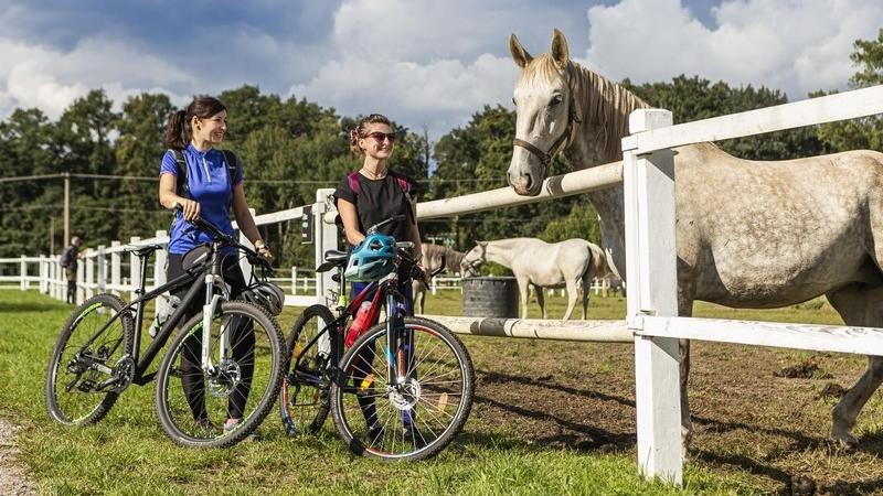 foto zdroj Pardubický kraj