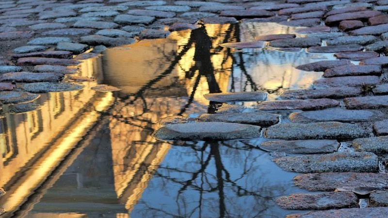 Ilustrační foto zdroj Pixabay