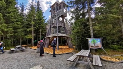 Tady je Království lesa! Víte, kde v Česku najdete zábavní park pro děti mezi vzrostlými stromy?