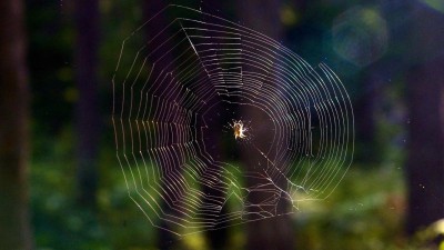 „Bojíte se strašidel?“ aneb Strašidelná procházka na Křížovém vrchu