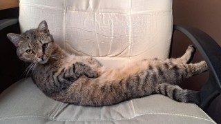 ilustračn&iacute; foto zdroj e-den&iacute;ky