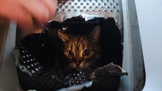 foto HZS Pardubick&yacute; kraj